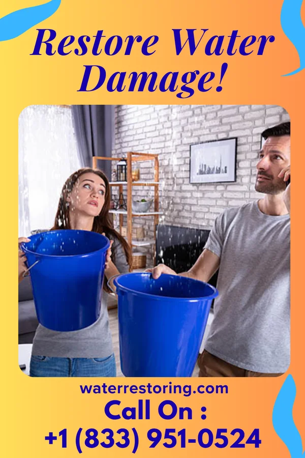 water restoration Reliable Flood Damage Pros Montrose